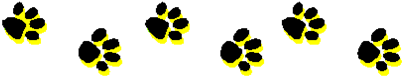 paw prints